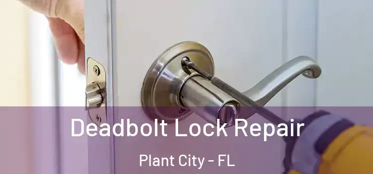 Deadbolt Lock Repair Plant City - FL