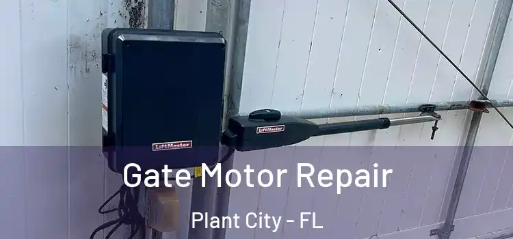 Gate Motor Repair Plant City - FL