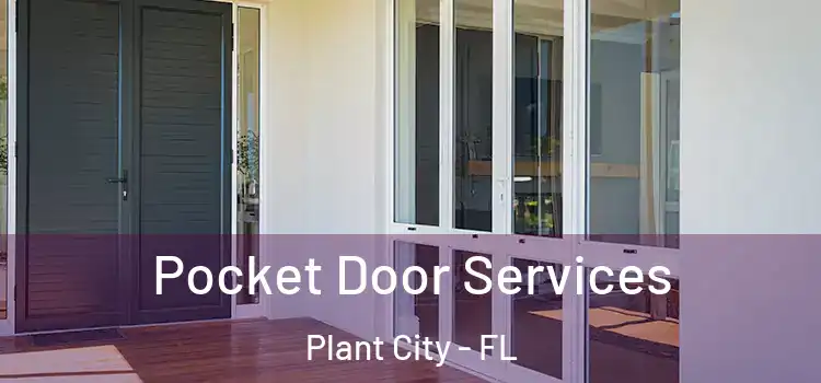Pocket Door Services Plant City - FL