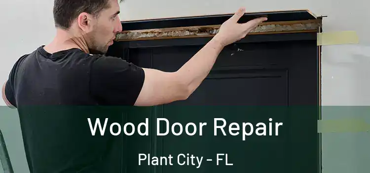 Wood Door Repair Plant City - FL